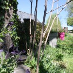 accès fleuri à la chambre de Roche